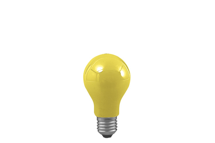 Paulmann. 40022 Лампа AGL, E27, желтая 25W