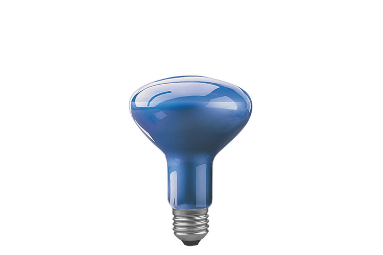 Paulmann. 50070 Фитолампа рефлекторная для растений, синяя, Лампа R95 E27-35 75W