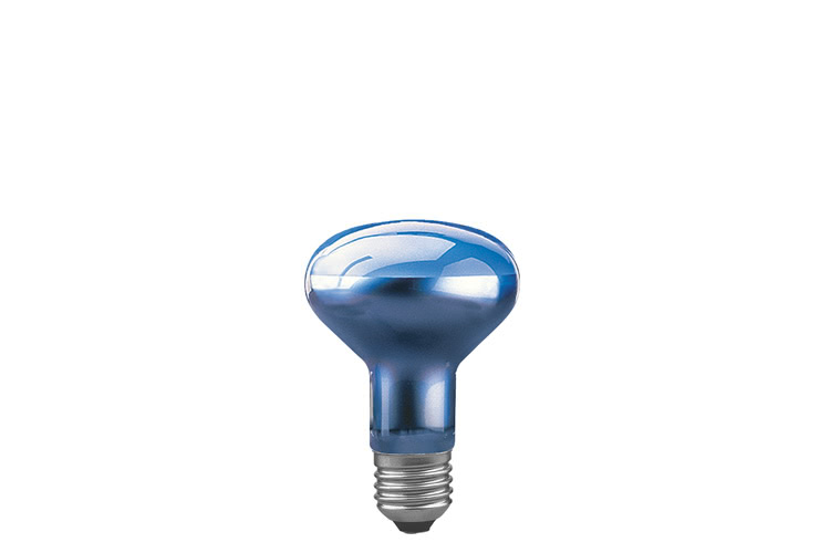 Paulmann. 50160 Лампа R80 рефлект. для растений, синяя, E27-80 60W