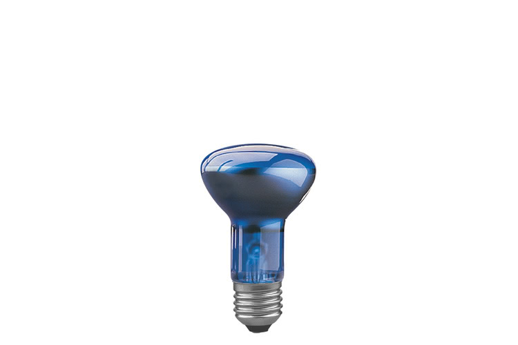Paulmann. 50260 Лампа R63 рефлект. для растений, синяя, E27-35 60W