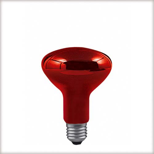 Paulmann. 82966 Лампа Infrarotlampe 100W E27 95mm Rot