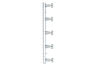 99680 Galeria Regula light strip max.5x40W E14 Chrome 230V